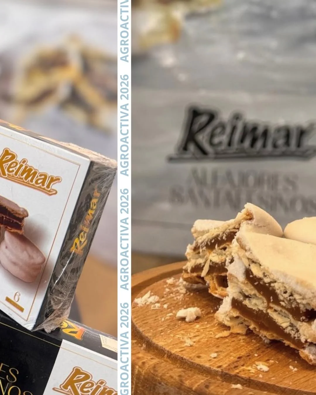 reimaragroactiva