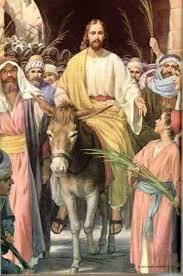 655813344_1374534121379790_16435776430127454_n